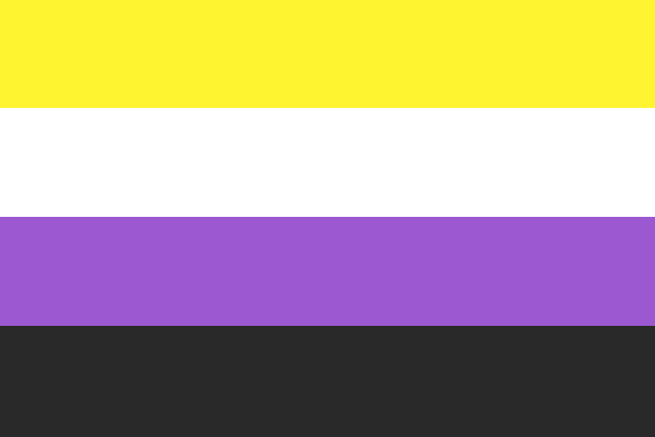 The nonbinary pride flag. A rectangle image with four stripes -- the top stripe is yellow, the next stripe is white, the next strip is purple, and the bottom stripe is black.
